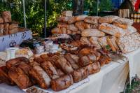 DniaKarpia2019