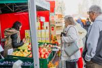 DniaKarpia2019