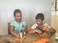DomDrzewa1