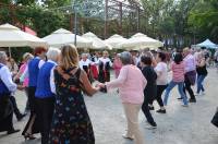 kwiaty,targi,kapele