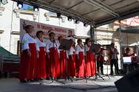 kwiaty,targi,kapele