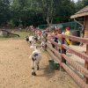 polkolonie_072022