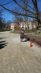 II etap maratonu na raty